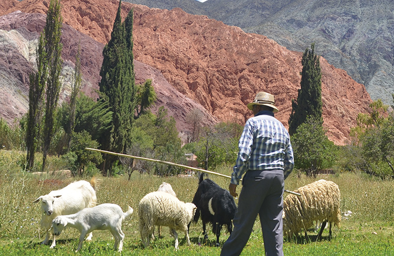 purmamarca jujuy